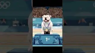 Dog Olympics:Gold Medal Dive! 🐕 #funnydogs #olympics #dogolympics #dogdiving #aigeneratedvideo #dog