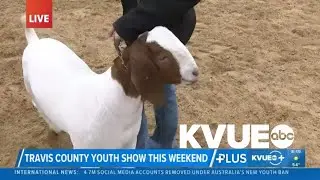Travis County Youth Show returning to Central Texas this weekend