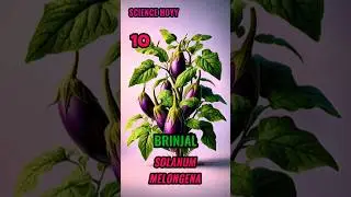 10 Plants And Their Botanical Names! #shorts #sciencefacts