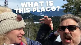 Old Man's Beard, Mouse Butts & Networked Trees?! Our Cougar Mountain Adventure - Whistler, B.C.