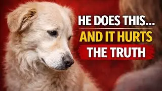 Your Dog May Not Love You &mdash; These Signs Explain Why
