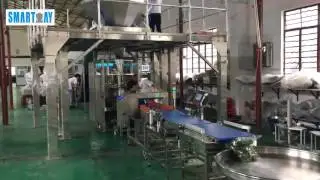 Large 14 Head Weigher+620VFFS Packing Line for  Vegetables
