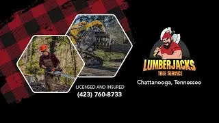 Lumberjacks Tree Service