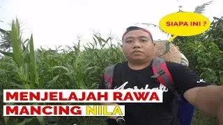 Menjelajah Rawa Mancing Nila