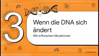 Genetik & Umwelt: Modifikation vs. Mutation 🧬🌿 | Polygenie & Extrachromosomale Vererbung