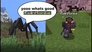 Coinmonke Spider Compilation