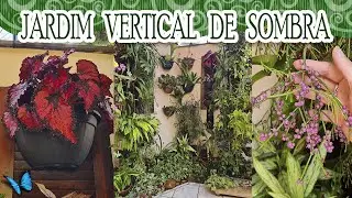 JARDIM VERTICAL DE SOMBRA - MANUTEN&Ccedil;&Atilde;O