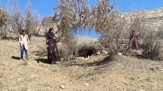 The Heart-Wrenching Search for Bahar in the Zagros Mountains