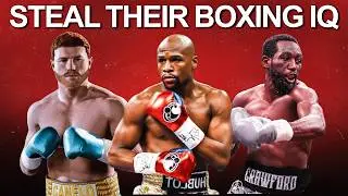The real Reason Mayweather Never Got Hit