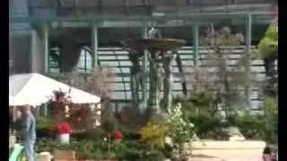 La Mostra dei Fiori - Cattolica