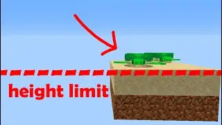what happens if turtles lay eggs at height limit? (minecraft experiment)