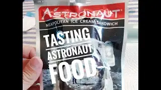 Space food ration - ice cream sandwich