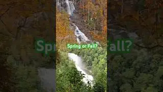 SPRING vs FALL | (Vote in Comments!) #naturelovers