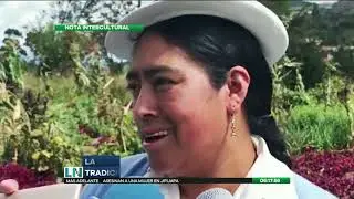 La Horchata: Tradicional bebida ecuatoriana