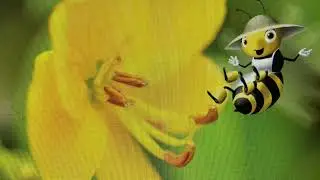 Kindergarten Knowledge Unit 4 Lesson 5: Polly the Honeybee&rsquo;s Flower Tour