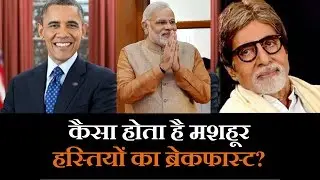PM Modi, Obama, Amitabh Bachchan; Wonders what they eat in Breakfast? Find out here | वनइंडिया हिंदी