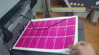 Business Card Setup and Print