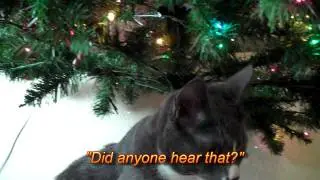 Sneaky Kitty Cat Steals Candy Cane from Christmas Tree