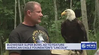 Super Bowl ad to feature American Eagle Foundation's 'Lincoln'
