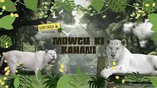 Mowgli the Tiger | Vantara ke Superstars