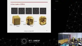 Colloquium: Oliver Lieleg: Combining biopolymers with DNA nanotechnology for applications in...