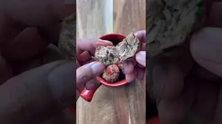 Kofta di agnello