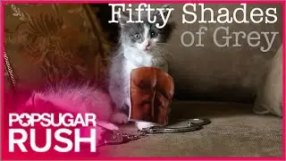 The Best Fifty Shades Parodies &mdash; From Frozen to Kittens!