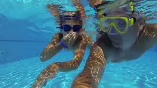 Croc Dive