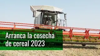 Arranca la cosecha de cereal 2023