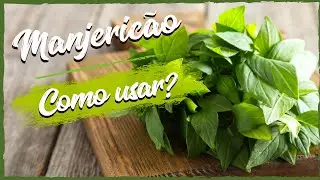 HAVE YOU EVER USED IT THIS WAY? HOW AND WHERE TO USE BASIL