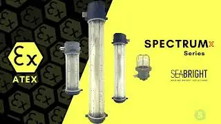 SpectrumX 56 4