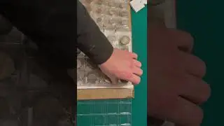 Do not do this to your coin collection! #coincollector #comment #like #cool #collectibles #money
