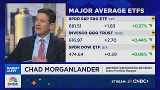 Morganlander: Quality has underperformed this year, but that's where you want to be long-term