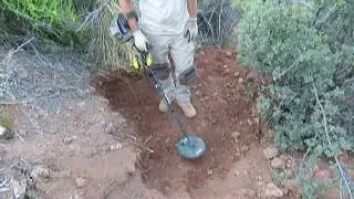 Placering for Gold Nuggets in Arizona!