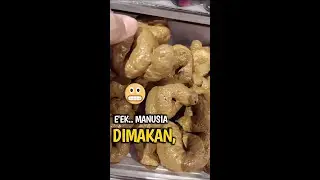 MAKANAN VIRAL UNIK BENTUKNYA MENYERUPAI KOTORAN MANUSIA.