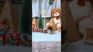 The Christmas street of two Little Mice#Golden Thread Bear#Hamster#Cute