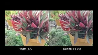 Xiaomi Redmi 5A Vs Xiaomi Redmi Y1 Lite Camera Compaison