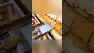 These steel plates protects the wall from moisture #shorts #top  #facts