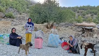 Кочевая жизнь в горах: строим приют для щенков и место для вещей 🏔️🐕🛠️