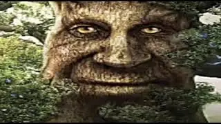 wise mystical tree 1 hour / мудрое мистическое дерево 1 час
