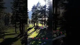 usho Forest kalam Swat Pakistan 🇵🇰 #mahadtouristguideswat #pakistantourism