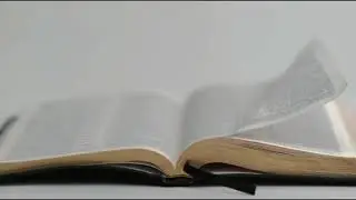 Open Bible Animation