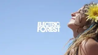 Forest Yoga - #EF2016 Highlight