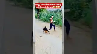 Dogy lucu ngakak jadi juru slamat🤣🤣🤣 #lucu #ngakak #funny