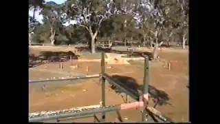 Mont Park to Springthorpe 2004
