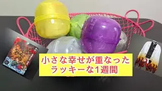 【ポーチでらっくす】大容量で使える！鬼滅にツイてた1週間 #開封動画 #demonslayer #ガチャ 