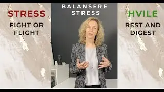 Hjernen: Hva gj&oslash;r stress med deg? (fight/flight/freeze)