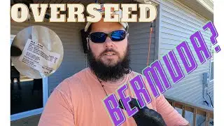 Keep your BERMUDA lawn GREEN all winter long! | Overseeding Tifway 419 |