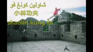 shaolin xiao hong quan  شاولين شياو هونغ تشوان Small Flood Fist 小洪拳