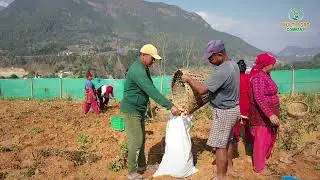 Multi Agro
